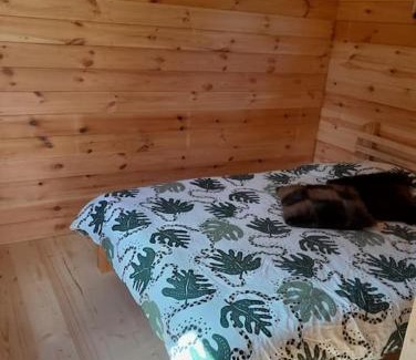 Engure House | Camping Fluffy Horns - Kempings Pūkainie Ragi