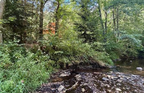 Habri Other | Camping Mitrov