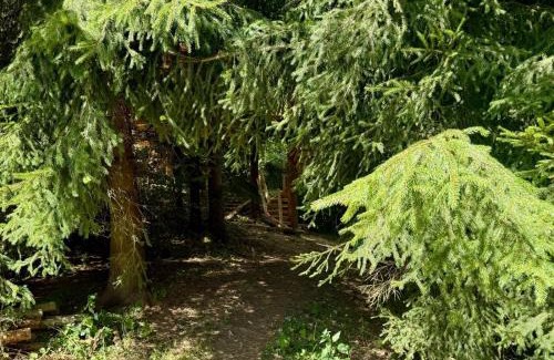 Habri Other | Camping Mitrov
