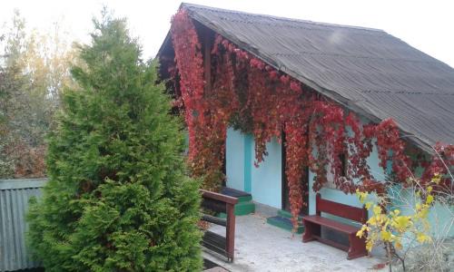 Onesti Resort | Camping Paradisul Soferilor