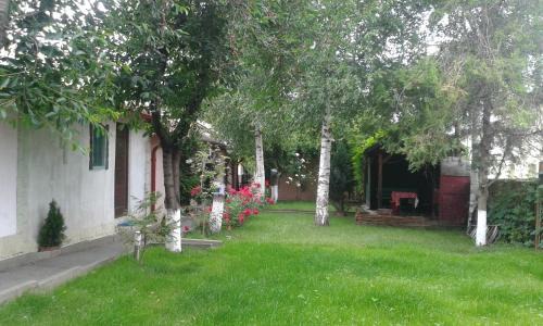 Onesti Resort | Camping Paradisul Soferilor