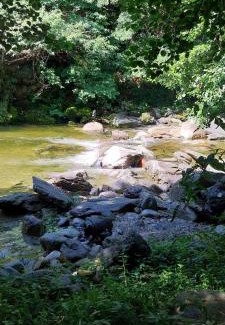 Maissana Other | Camping RioRequesa