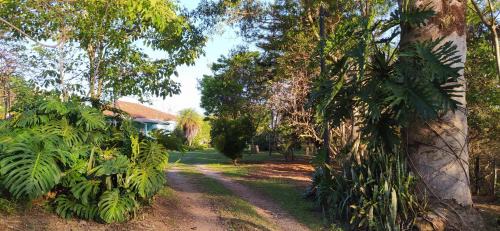 Diamantina Other | Camping São Pedro - Área de acampamento dentro de Diamantina