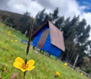 Guatavita Cabin | Camping San Francisco - Cabaña, Teepee & Zona de Camping