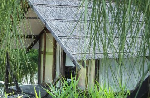 Kekava Other | Camping Zanzibāra