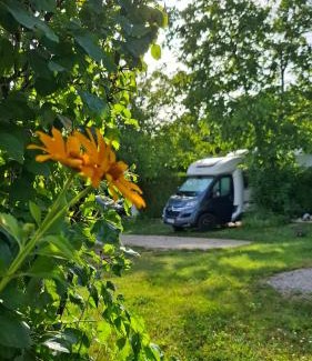 Cserszegtomaj Other | Campingrosengarten