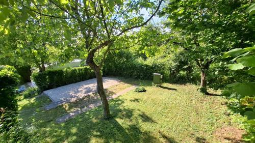 Cserszegtomaj Other | Campingrosengarten