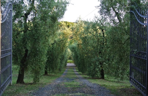 Montescudaio House | Campo del Rosario is an oasis of peace immersed in the Tuscan countryside.