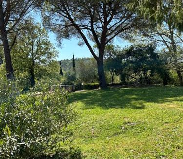 Sassetta House | Campo Di Carlo