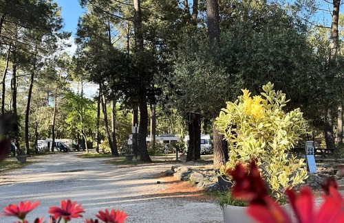 Bollene House | Campsite La Simioune in Provence * - Mobile home VENTOUX - 2 bedrooms + TV (2 adults + 2 children) 2 to 4 people - 2 pers. included in the tariff