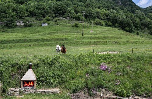 Vidra Apartment | Can Font de Ciuret, allotjament rural