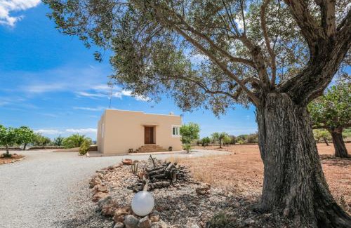 Sant Josep de sa Talaia House | Can Furnet