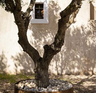 Sant Francesc Xavier Villa | Can Noves - Villa de 4 Suites 22 y 34