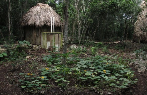 Macario Gomez Cabin | candelit jungle getaway @ casa xaaninna