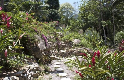 El Naranjo Villa | Cangrejal River Lodge in Pico Bonito, on Rio Cangrejal, Pool