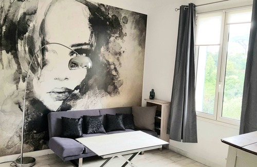 Riou - Petit Juas - Av de Grasse Apartment | Cannes spacious air-conditioned duplex