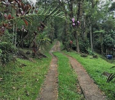 Morretes Ski Chalet | Cantinho do Bem - Lindo Chalé com piscina exclusiva e vista pra Serra do Mar!