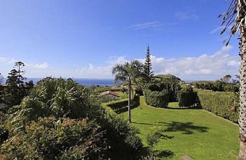 Ginetes House | Canto Abelhas