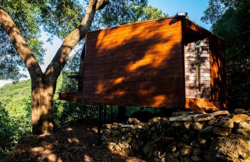 Biscoitos Resort | Caparica Azores Ecolodge