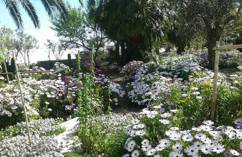 San Severo Other | Capoposto -Suite Masseria Celentano