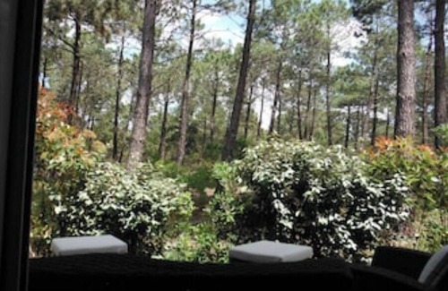 Carcans Plage Apartment | Carcans Plage: in the forest, 2 minutes away from the beach