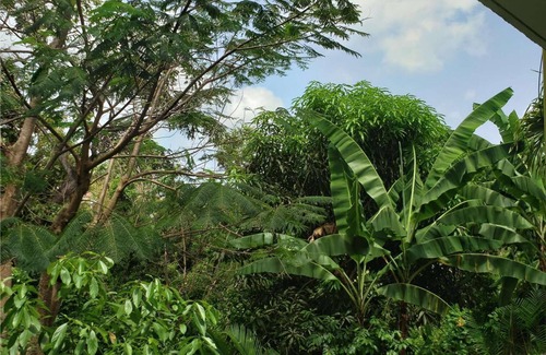 Caret Bay Apartment | Caret Bay Tropical Hideaway Apt
