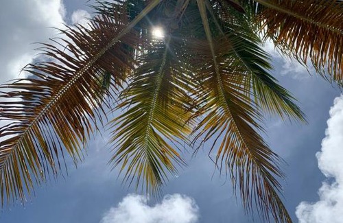 Frederiksted Southeast Apartment | Caribbean Gem ocean block in the center of town