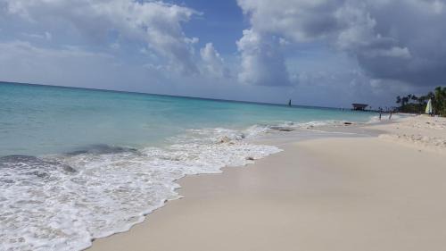 Dominicus Apartment | Caribbean Pearl