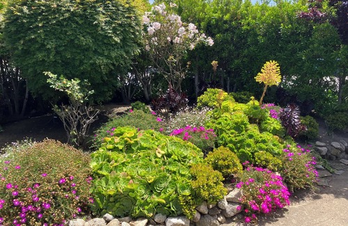Carmel Point House | 'Carmel Tranquility' 2 Beaches 6 and 9mins walk from a bright & airy beach home