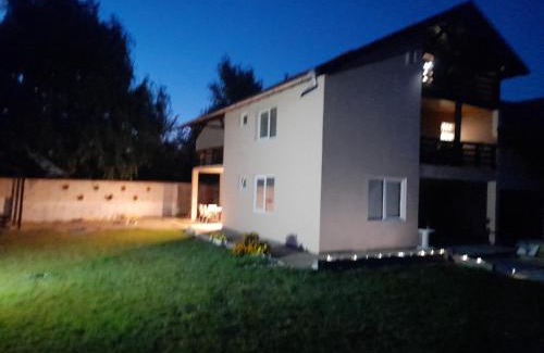 Cristian House | CASA FLOARE DE COLT