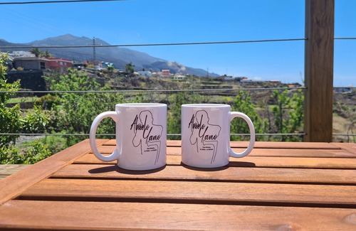 El Paso Cabin | Casa Abuelo Yano, with views of the volcano of La Palma and the tranquility you are looking for.