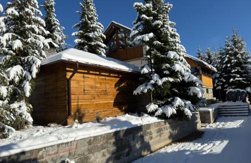 Horezu House | Casa Adam