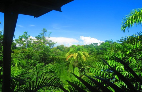 Pavones House | Casa Aloha - Birder & Surfer Paradise! AC, WiFi, Short Walk to Pavones Point!