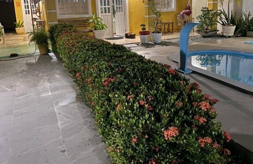 Arembepe House | Casa Amarela seu Refúgio