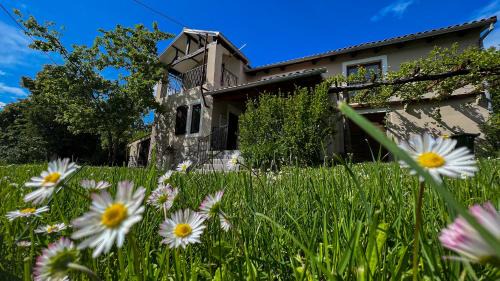Blatna Vas Villa | Casa Ana new in 2025 high speed Starlink wifi