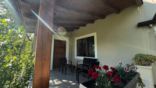 Blatna Vas Villa | Casa Ana new in 2025 high speed Starlink wifi