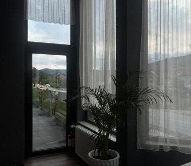 Vadurele House | Casa Ardeleanului 2
