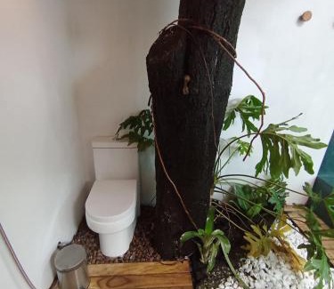 Alto Paraiso de Goias House | Casa Aroeira Alto Paraíso de Goiás