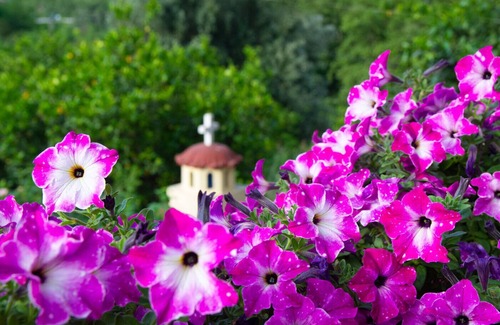 Voukoliai Other | CASA AROKARIA - Easy to find, hard to leave!