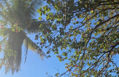 Caraiva House | Casa Azul Caraiva - Bahia