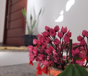 Lencois House | Casa Bastos
