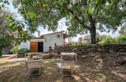 Scansano House | Casa Bianca by Interhome