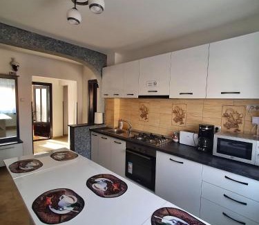 Campulung Moldovenesc Apartment | Casa Bianca