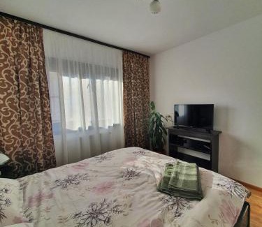 Campulung Moldovenesc Apartment | Casa Bianca