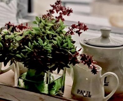 Alaminos House | Casa BOHO