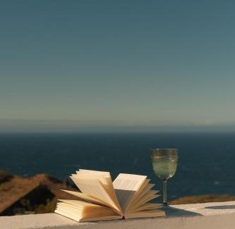 Icod de los Vinos Apartment | Casa Cactus - heated pool and only 5 boutique apartments