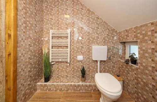 Moieciu Cabin | Casa Calatorului Rasnov