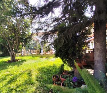San Jeronimo de Surco Other | Casa Campo Isabel Quinteros