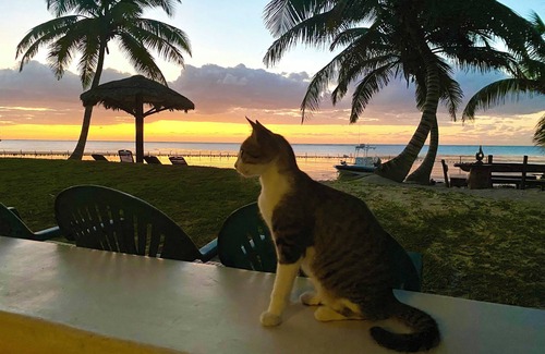 Xcalak Villa | Casa Caracola - Enchanting Beach Front Villa - Sleeps 4
