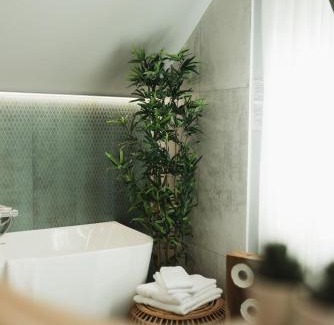 Baia-Sprie House | Casa Cerbului